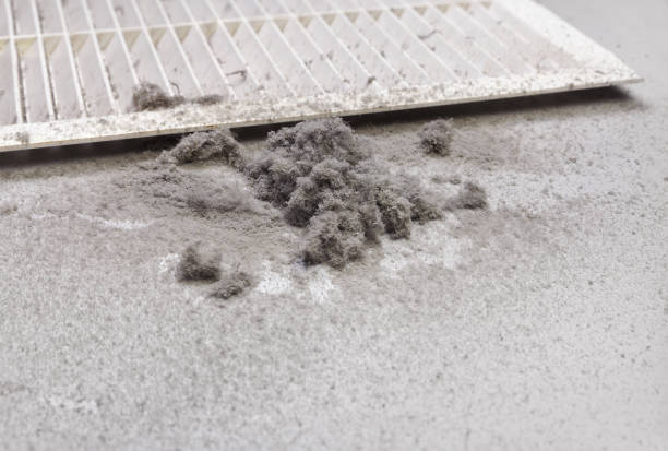 Best Affordable Duct Cleaning Services  in Hardinsburg, KY