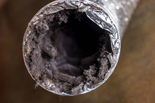 Best Dryer Vent Cleaning Services  in Hardinsburg, KY