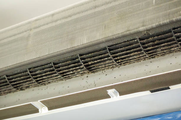 Best Air Duct Sanitizing Services  in Hardinsburg, KY
